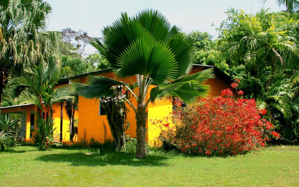 El Ranchito Surfcamp Hotel Pedregal Esterno foto